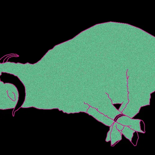 Dark Screens, Bright Lights