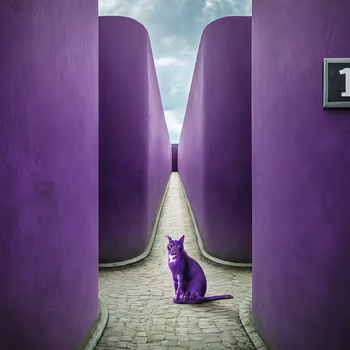 MyFarcastExperiences