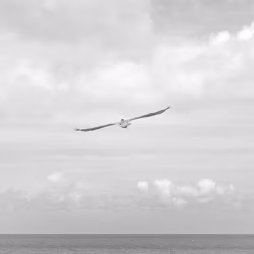 Individually Suites Reg