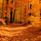 Fall