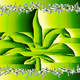 Juanna Mint