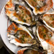 oysters