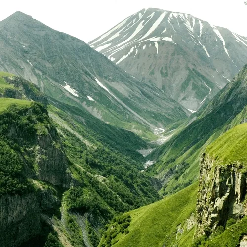 green nature