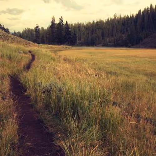 Departments Tablets Reflects