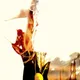 Fangs Videoart