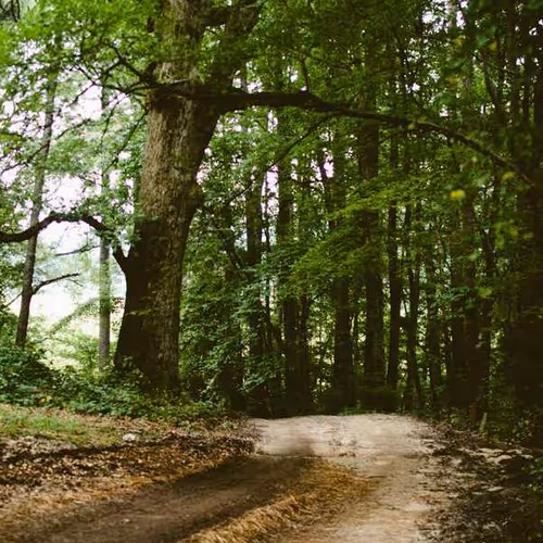 Shaped Expected Economic