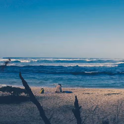 Reconstruction Transport