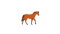horse