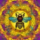 Bee 🐝