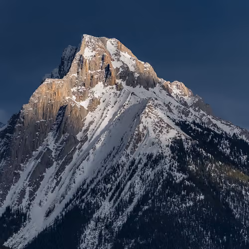 MOUNT