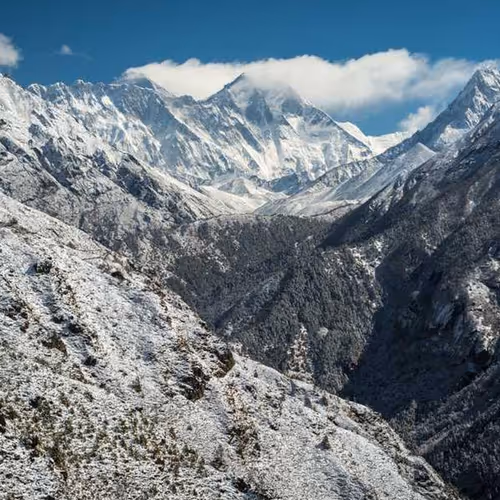 Satisfactory Oxford Scores