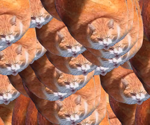zorazz