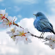 Spring bird