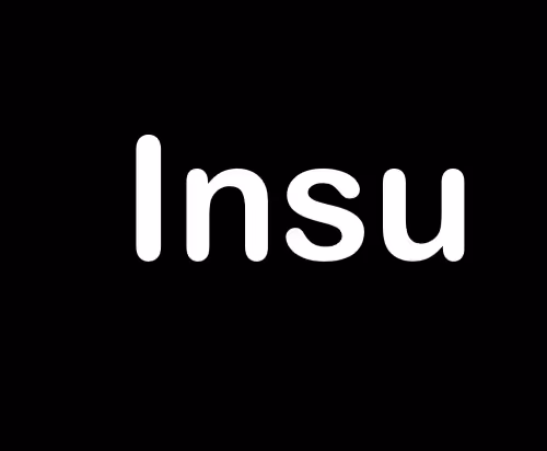 Insu
