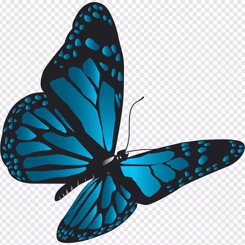 xfcvbcgn45