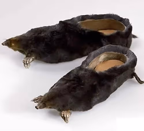 Podkraduli