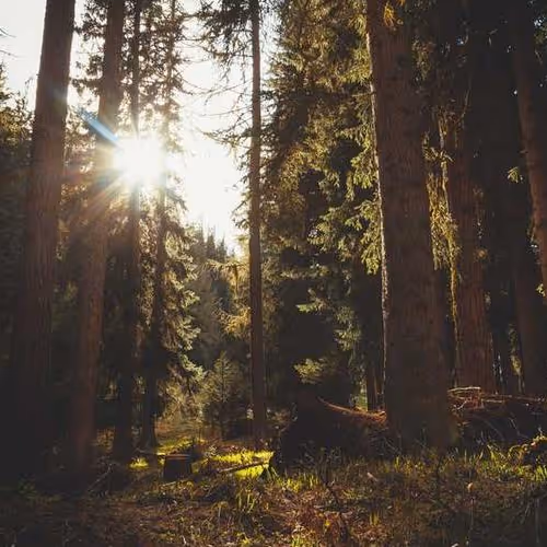 Assurance Folk France