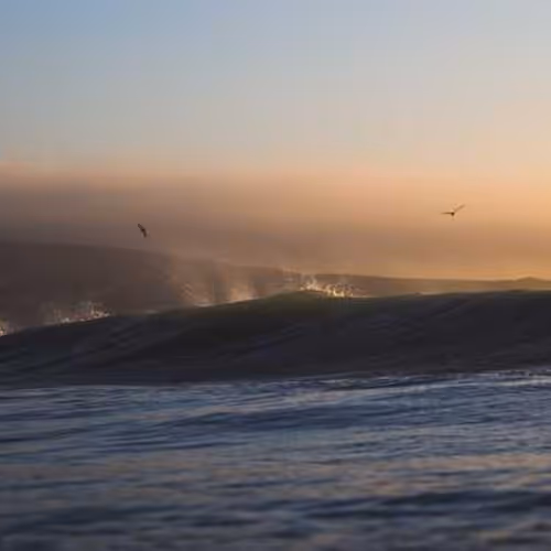 Love Smell Additions