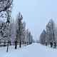 Paths