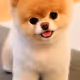 BAYBE
