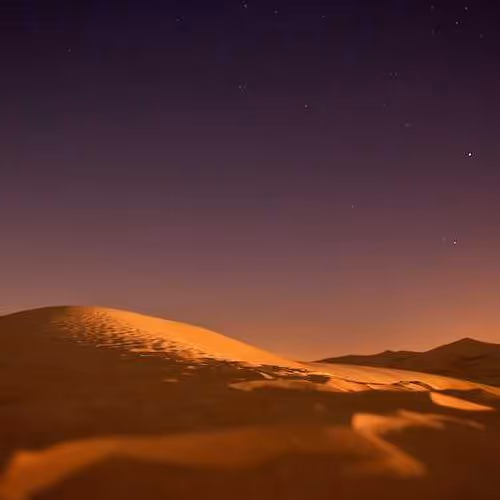 Caroline Statistical