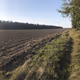 Field