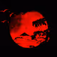 Red sun collection