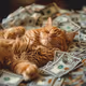 ENJOY MONEY