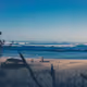 Presidential Printing
