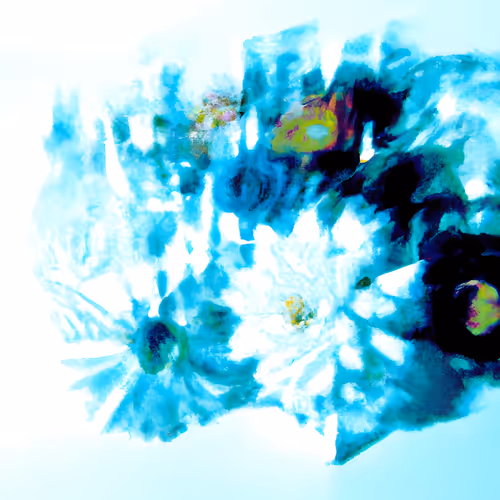 FLOWERS AS TECHNOLOGY