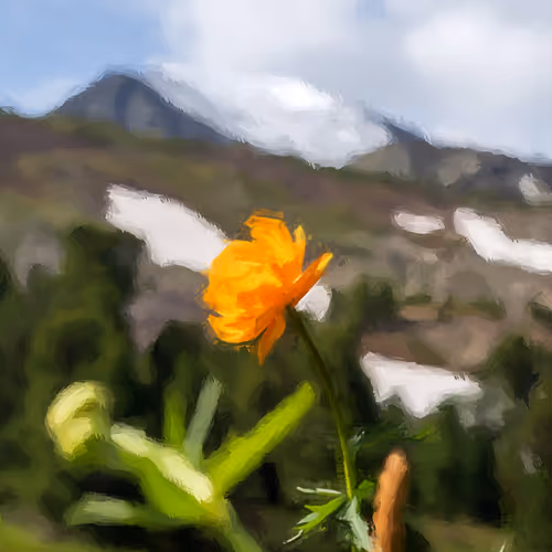 !Imagine beauty of nature