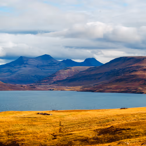 Real Art for Real Friends