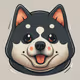 dogi