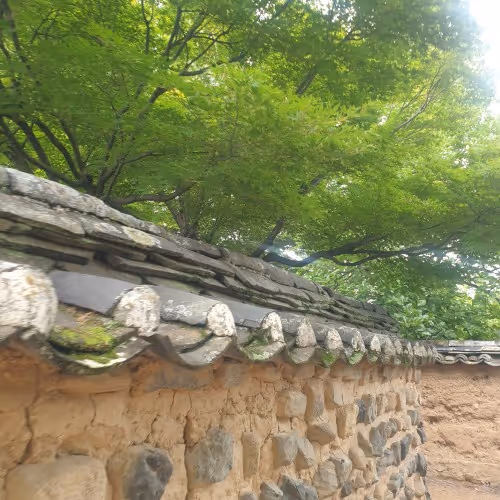 A wall. . .