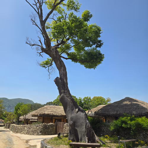 Oeam Village