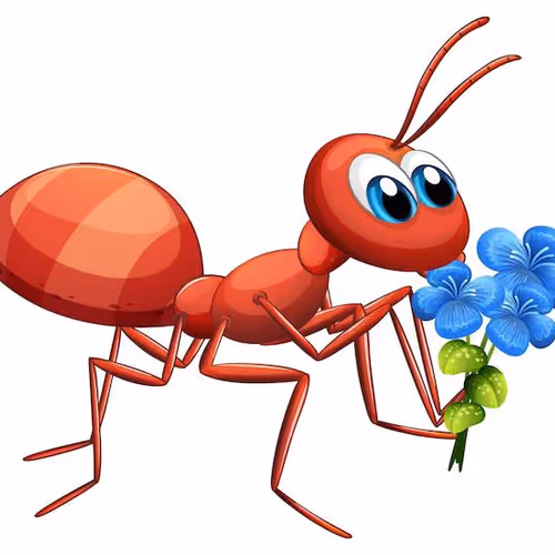 Ant