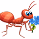 Ant