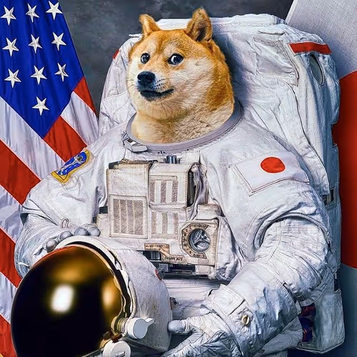 Space Doge Zora