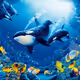 Waterworld