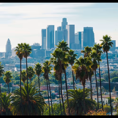 sunny California day