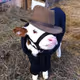 Degen COW