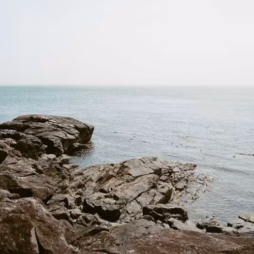 Lease Blades Discover