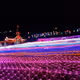 neon night view