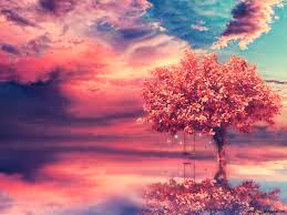 Beautiful space