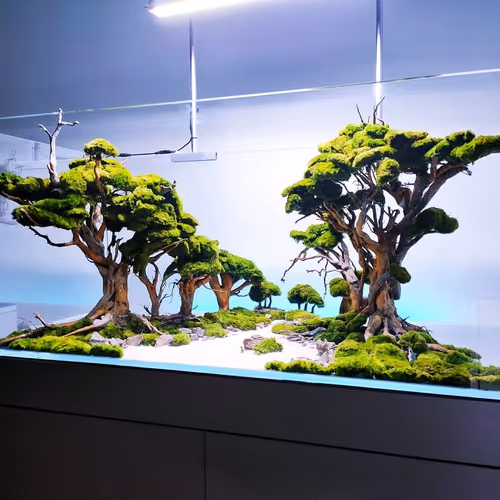 flora