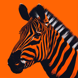 orange_cryptozebra