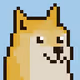 Enjoy Doge