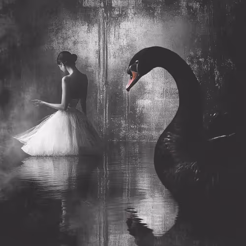 Black Swan