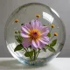 Flower Zorbs