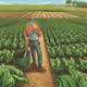 Agriculture